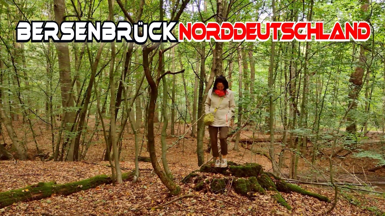 NORDDEUTSCHLAND/BERSENBRÜCK/4K #norddeutschland #4kvideos #bersenbrück