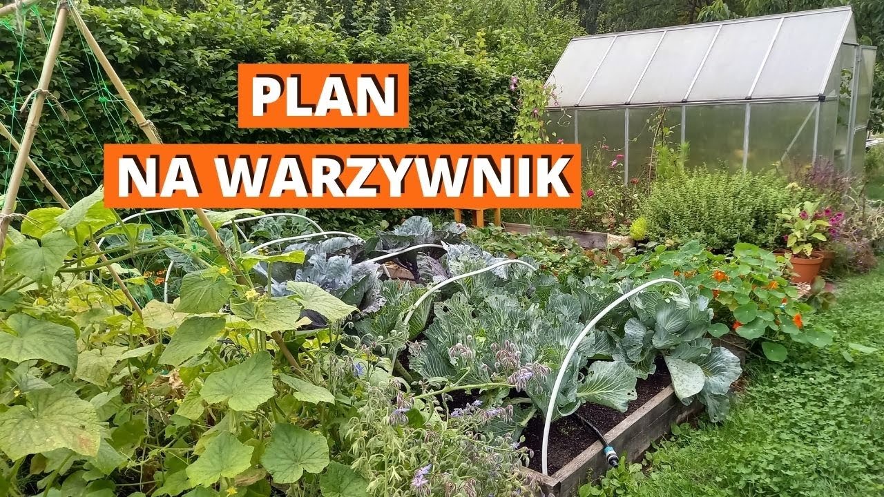 Plan na warzywnik. Jak zaplanowałem swoje zagony warzywne.