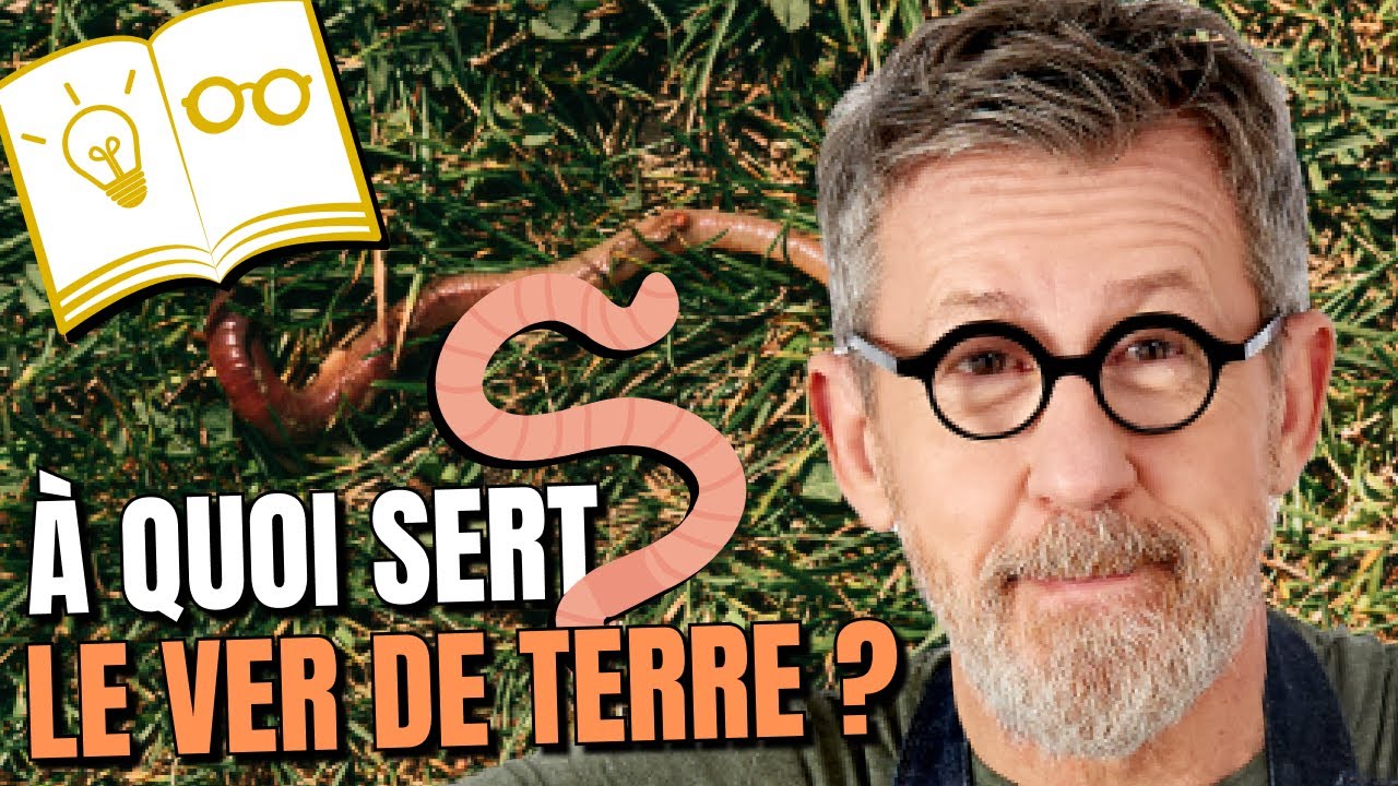 À quoi sert le ver de terre ? 🐛 | Confinement Jour 18