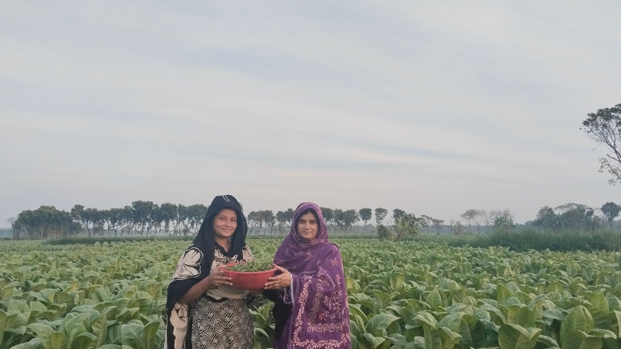 বাইতুর শাক তোলার জন্য সবাই মিলে মাঠে গেলাম।।❤️❤️ #fypage #vlog #villagelife #village #peace 