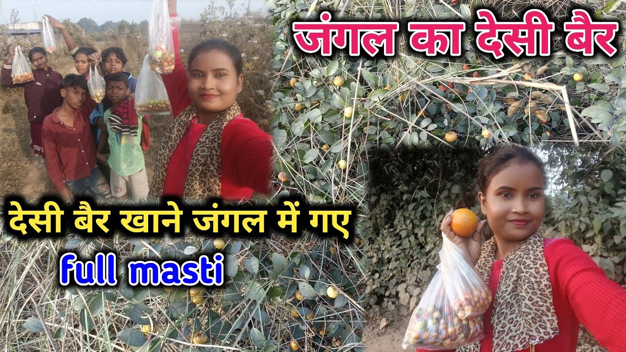 बैर खाने गए हमलोग जंगल में ||🥰 Jungle Me Ber Khane Ke Bahane Vlog Banaya@ CityVlogs.33