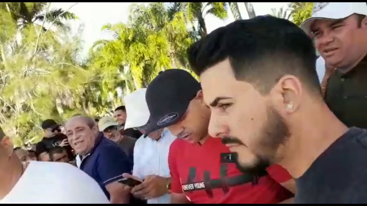 Palomas la gran carrera de miami 9 febrero 2020