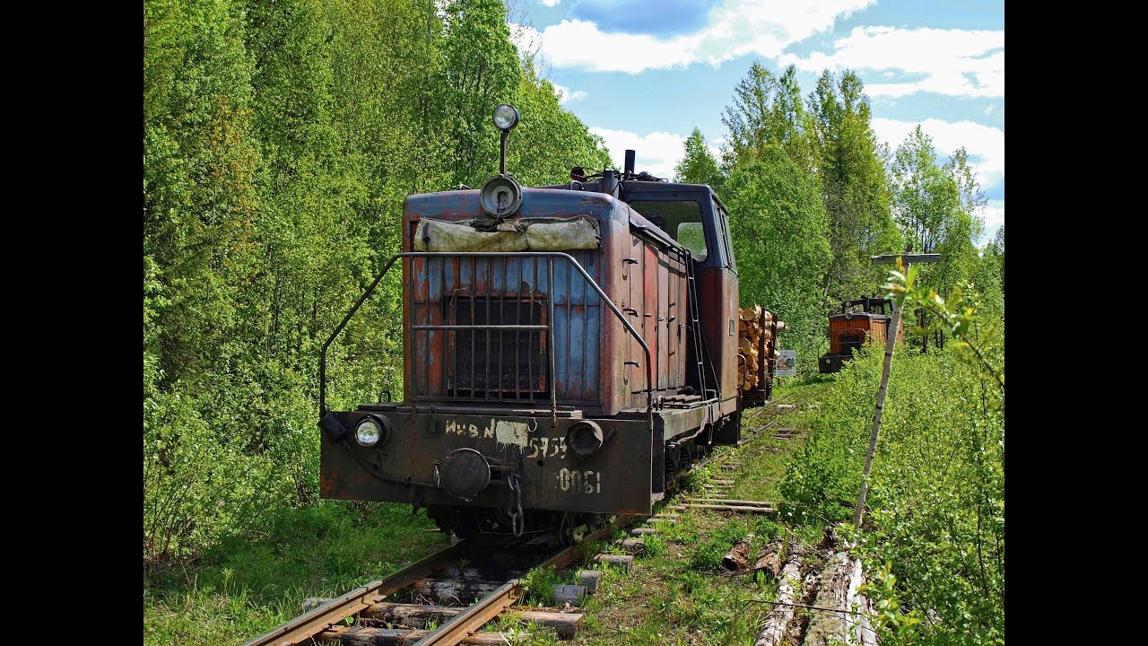 ТУ8-0050 с грузом. Лойгинская УЖД