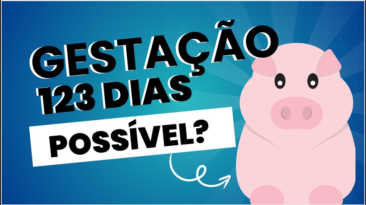 SUINOCULTURA: GESTAÇÃO 123 DIAS