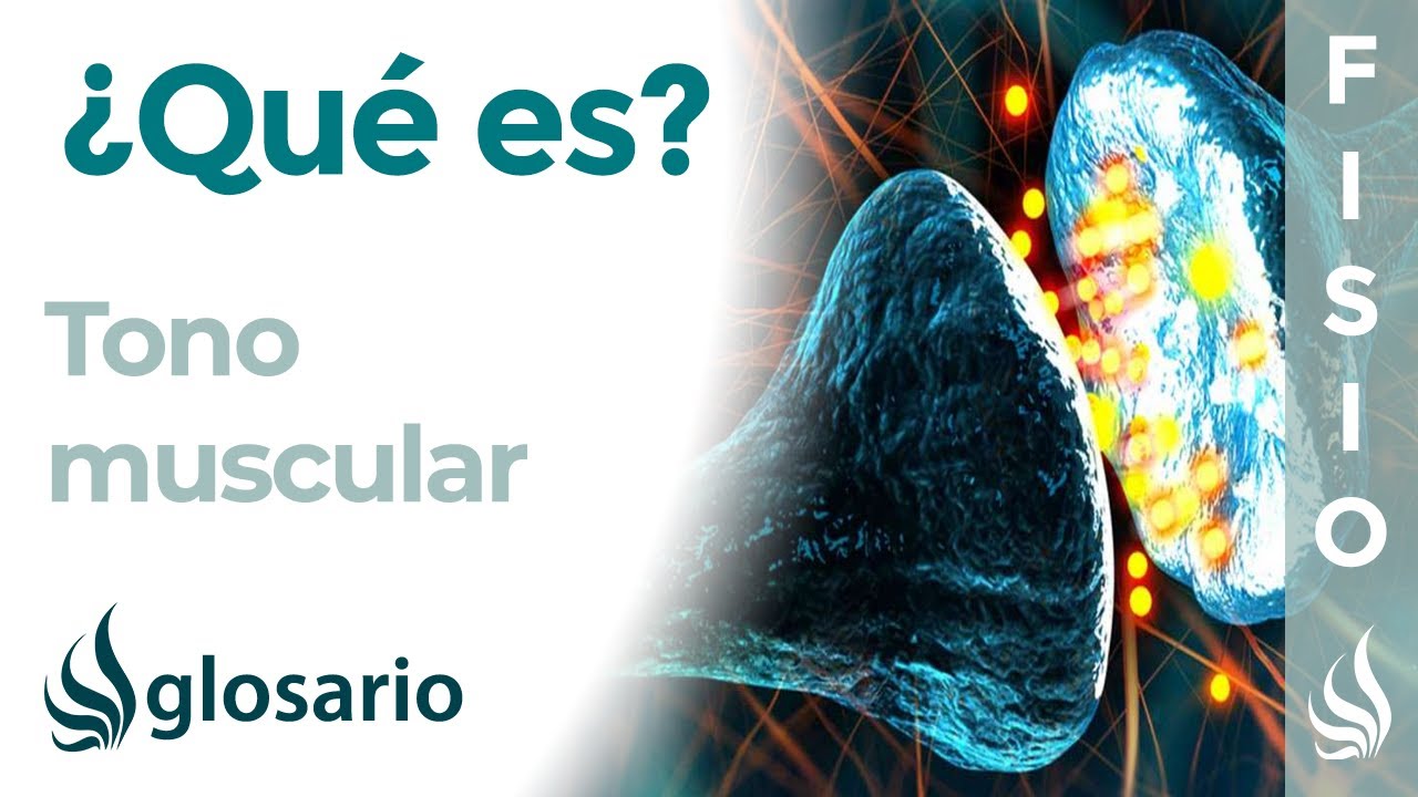 TONO MUSCULAR | Qué es, clasificación, función y alteraciones