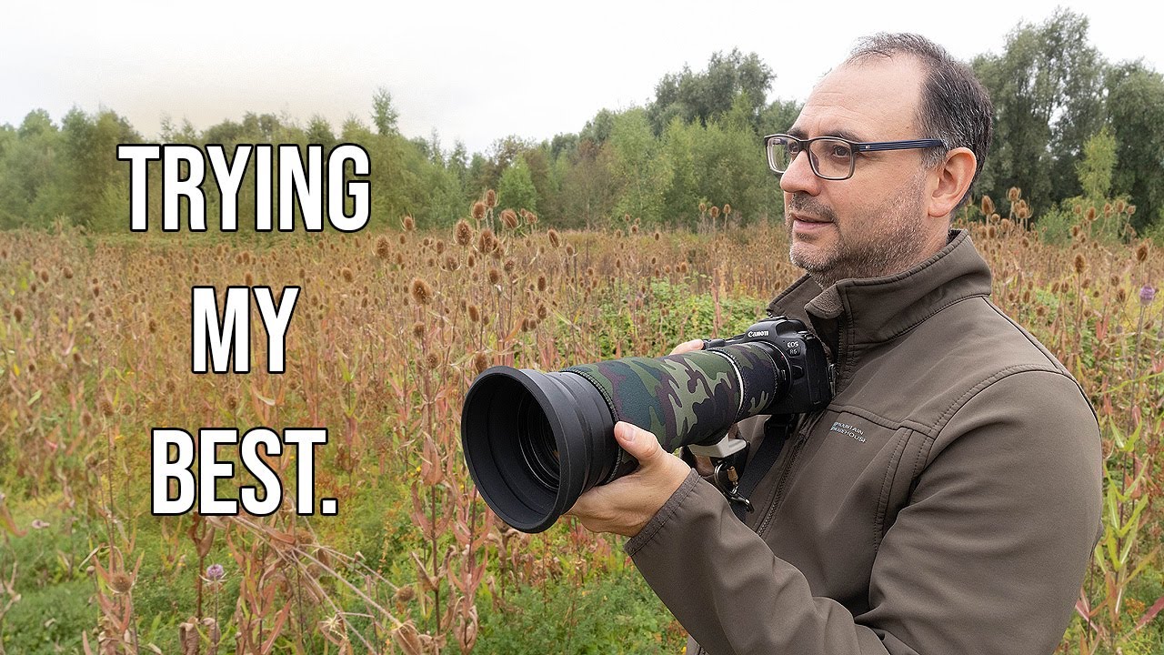Cloudy with a Chance of Green Woodpeckers.. (Hand-holding Canon EF 400mm F/5.6 Lens)