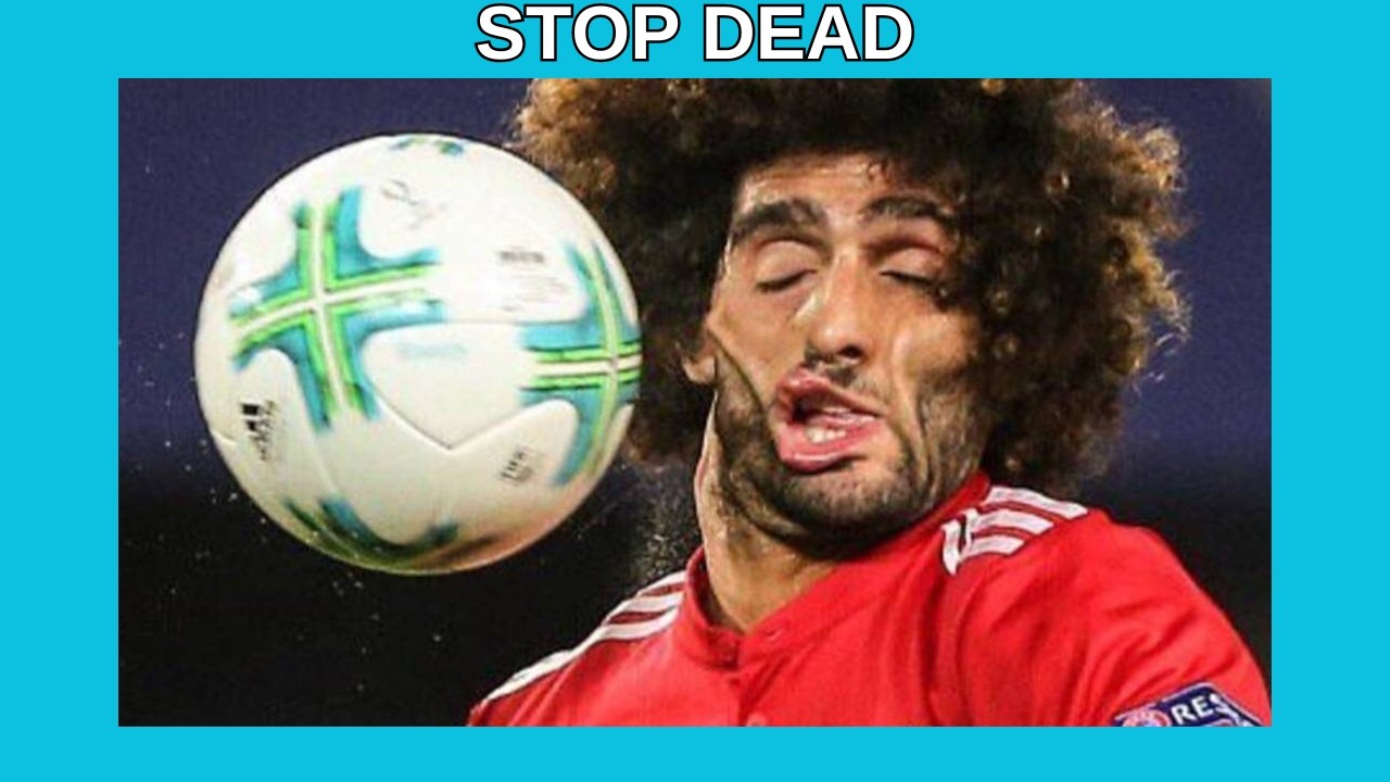 Stop Dead, live #233