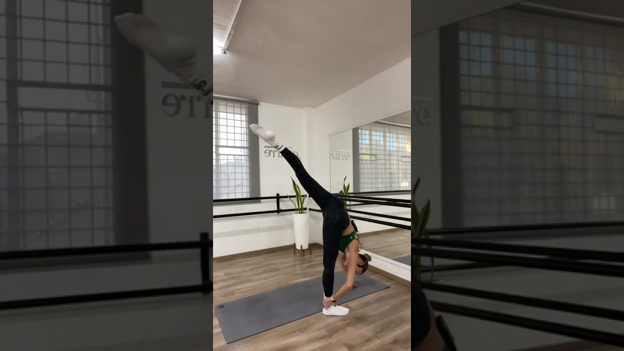 55 min full body dbarre workout (barre)