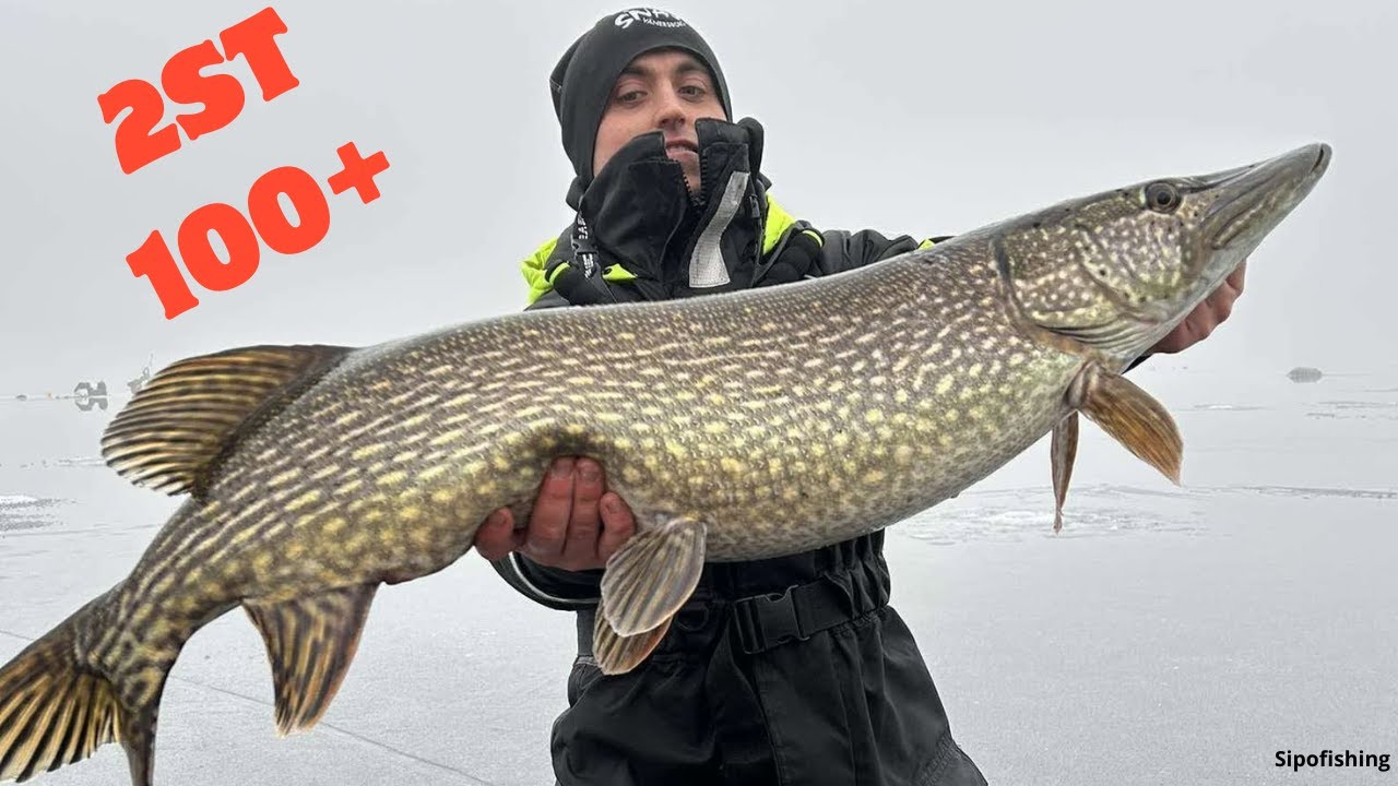 FET Gädda fångad på ISMETE! |2st 100+ på samma dag|