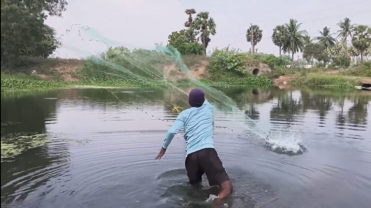Fishing Under the Bridge | Canal Net Fishing l Video|Amazing Net Fishing Under Bridge Canal 