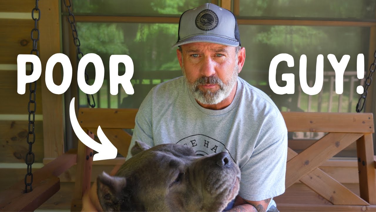 He's NOT Eating! | One Sick Puppy | Cane Corso | Ramblings