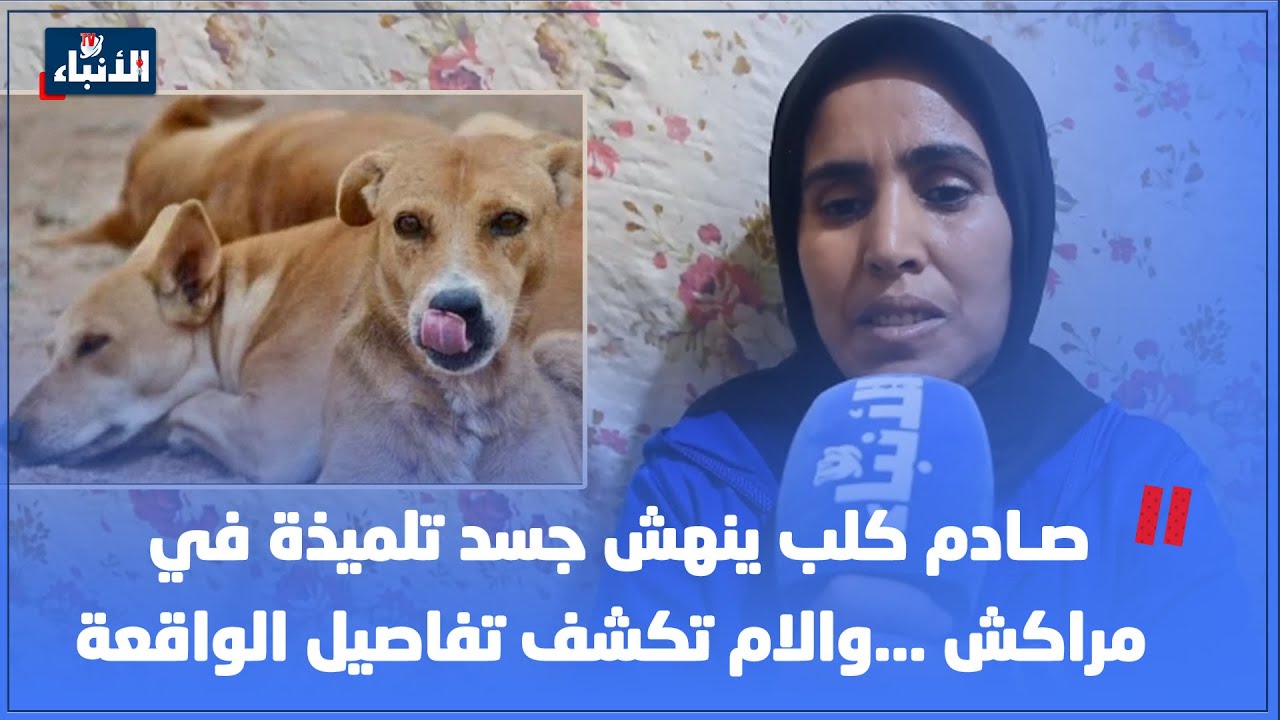 صـ ـادم كلب ينهش جسد تلميذة في مراكش ...والام تكشف تفاصيل الواقعة