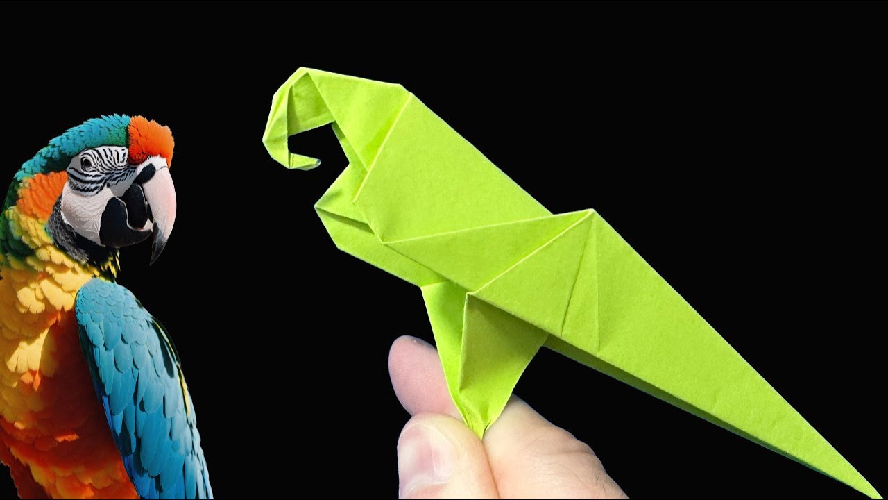 Perroquet origami | Comment faire un perroquet en papier | Oiseaux en origami