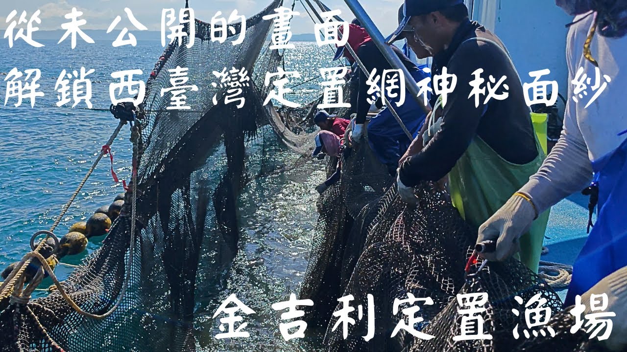 從未公開過的畫面，解鎖西臺灣 定置網 神秘的面紗 ｜金吉利定置漁場 #fish  #fisherman #fishchannel #fishmarket #金吉利 #定置網 #金吉利定置魚場