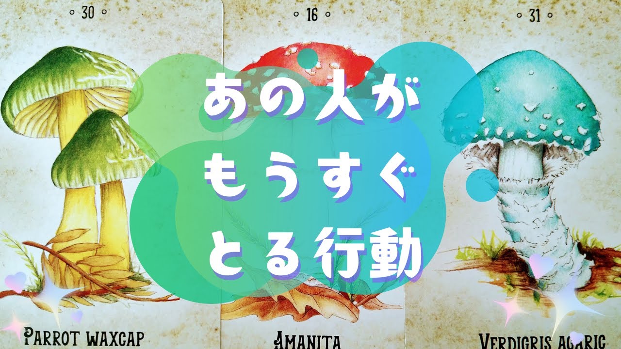 🕊あの人がもうすぐとる行動🕊【🔮ルノルマン＆タロット＆オラクルカードリーディング🔮】（忖度なし）