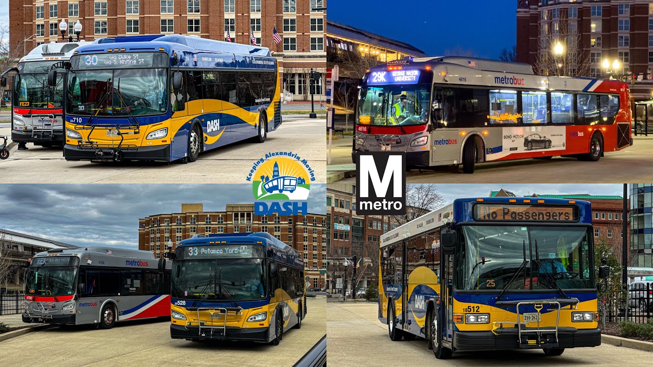 DASH Alexandria Transit Company and WMATA Metrobus Compilation at King Street-Old Town #2
