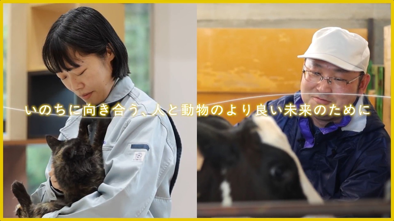 【獣医師職】職員インタビュー