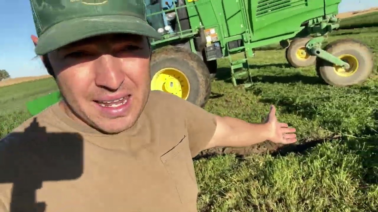 **Cutting 4th Cutting with John Deere W235 – Precision Harvesting in Action!** 🚜
