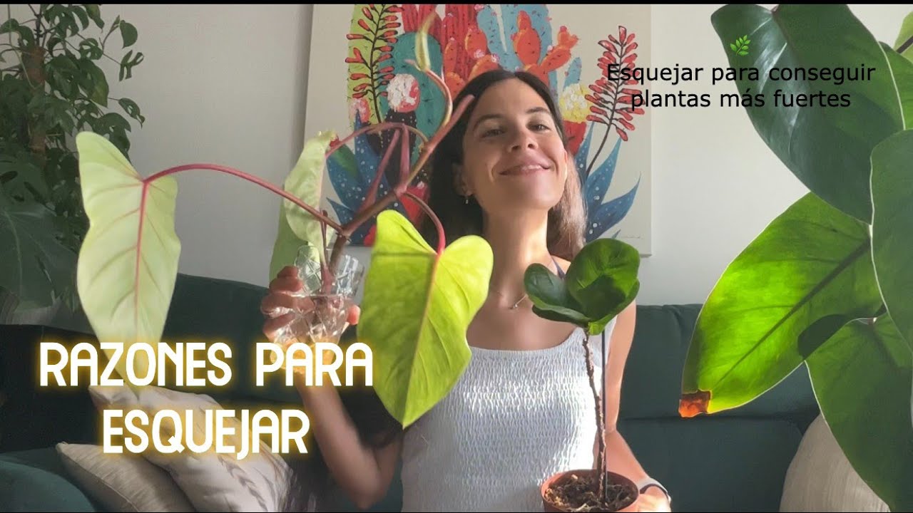 ¿Por qué hacer esquejes? Dos motivos para esquejar más allá de multiplicar o reproducir tu planta