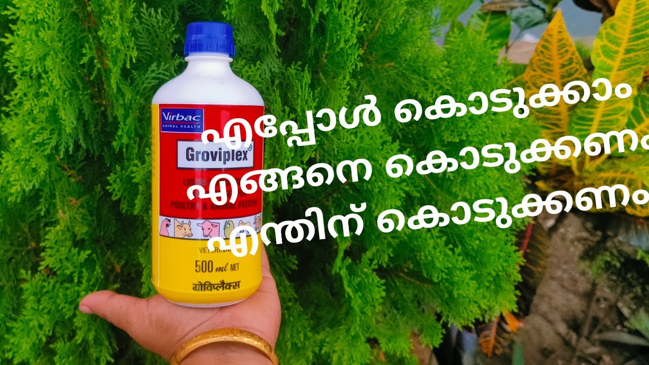 Groviplex uses || Groviplex medicine usage details || അറിയേണ്ടത് എല്ലാം ||
