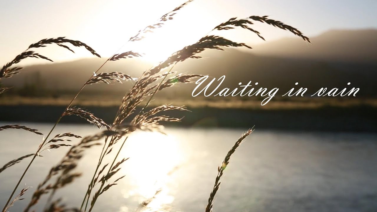WAITING IN VAIN - Bob Marley cover - Pop version arranged by Giuseppe Maiolo - Studio@Home