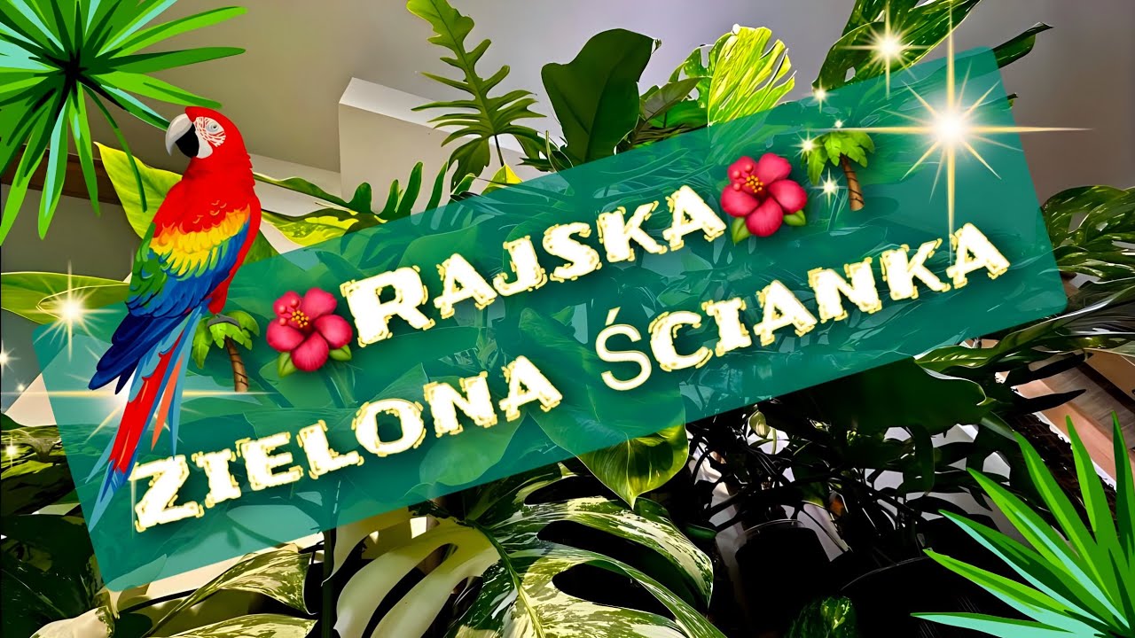 ODŚWIEŻANIE ZIELONEJ ŚCIANKI 🌴💖🌴