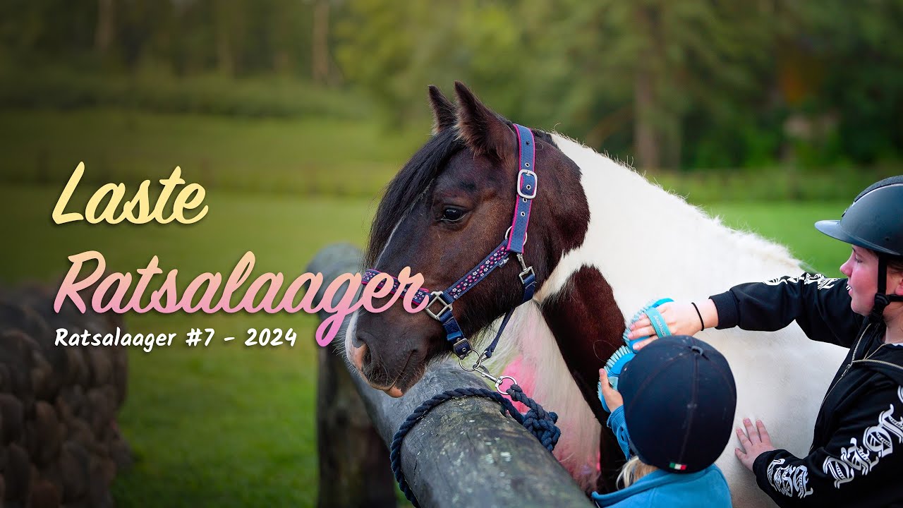 Lastelaager, Ratsalaager 2024 (#7) - Metsapiiga Talu