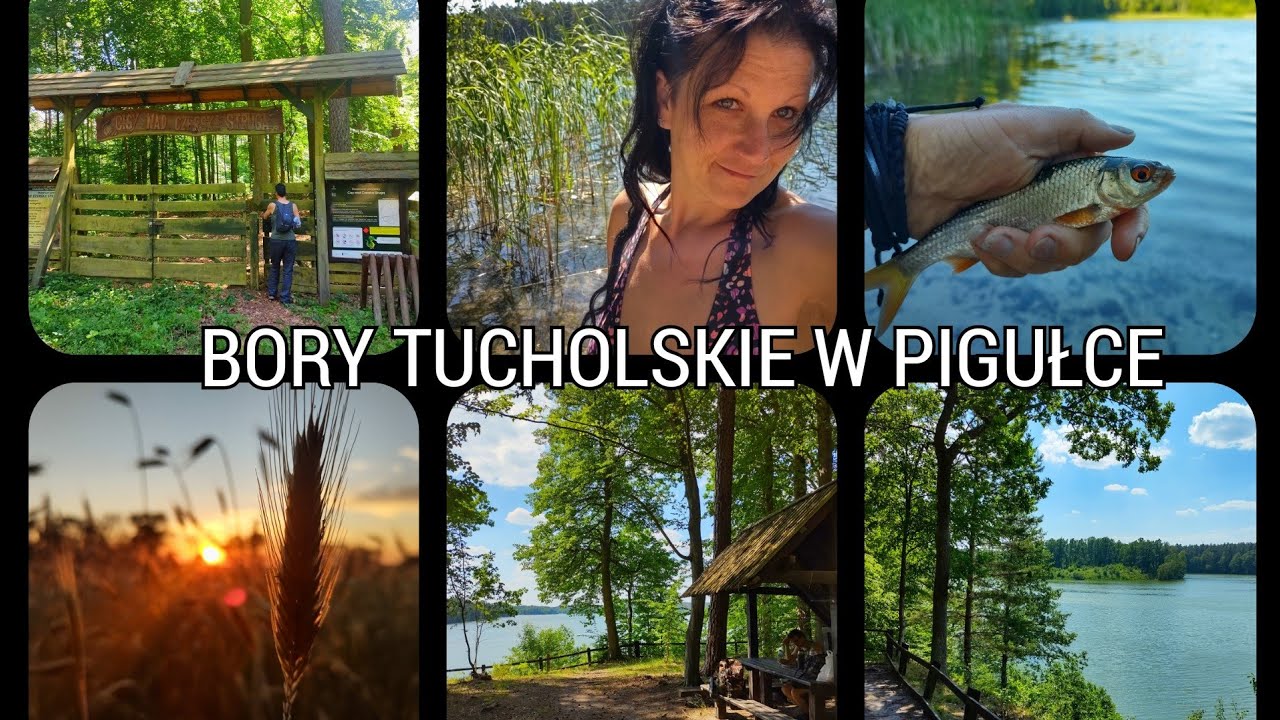 BORY TUCHOLSKIE W PIGUŁCE, czyli ciekawe miejsca, które warto zobaczyć