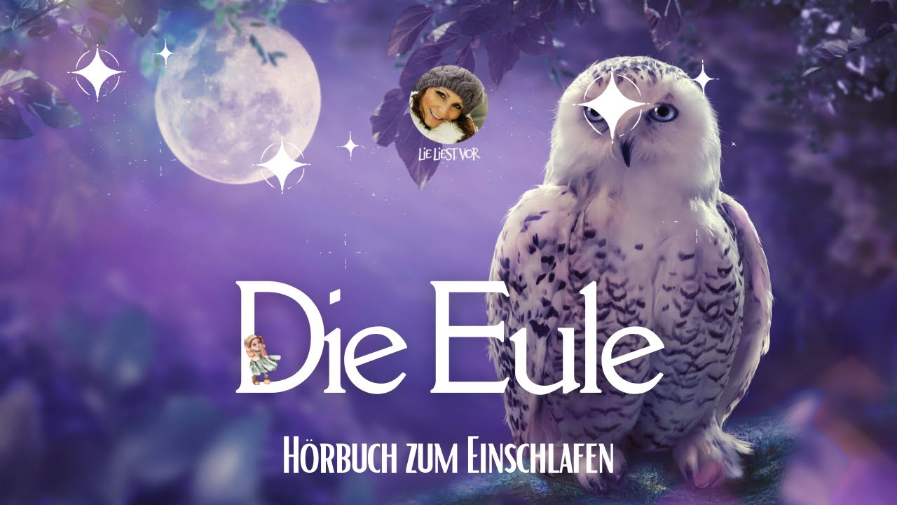 Hörbuch zum Einschlafen: Die Eule (Erzählung von Friedrich Glauser)