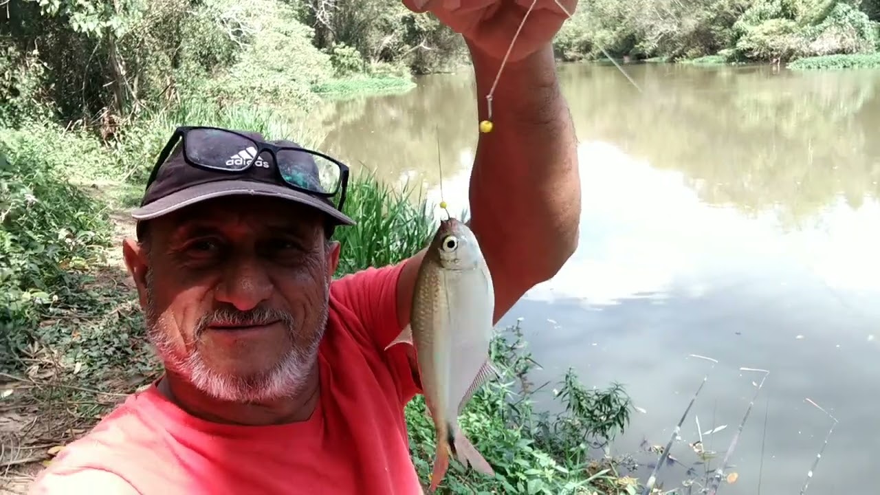 Pescando no Rio Atibaia - Lambari só na miçanga