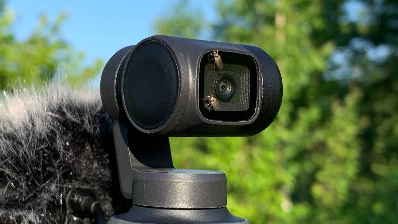 Рассказ о Fimi palm 2