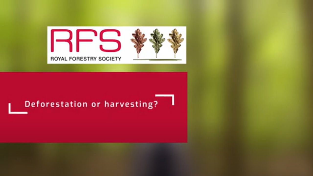 RFS: Deforestation or Harvesting?