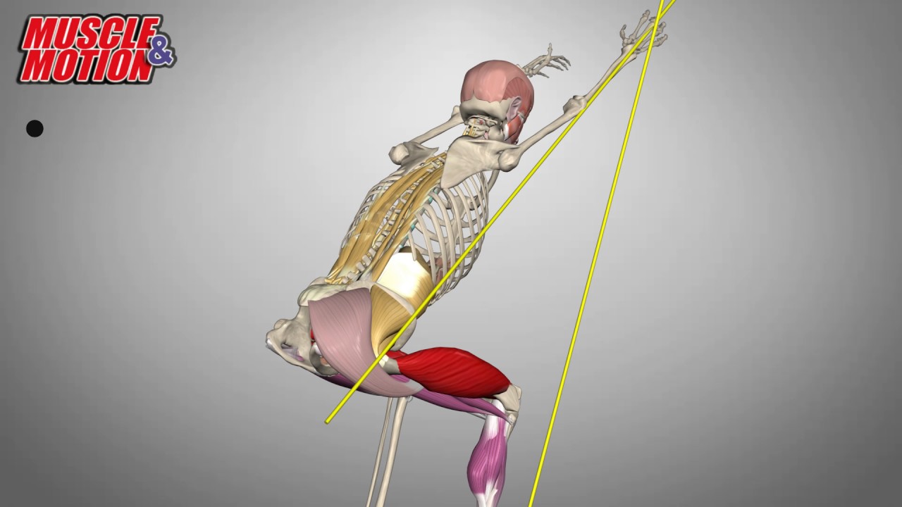 Overhead Squat Assessment
