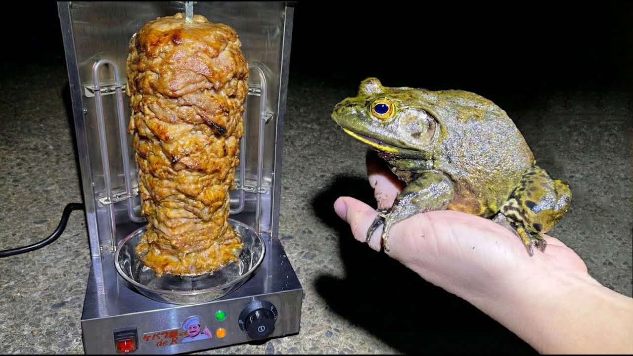 カエルの肉でケバブ作ってみた