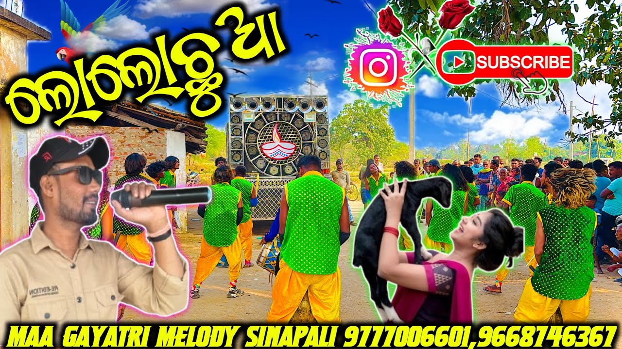 LO LO CHHUA / OLD SAMBALPURI SONG / MAA GAYATRI MELODY SINAPALI MO-9777006601/9668746367