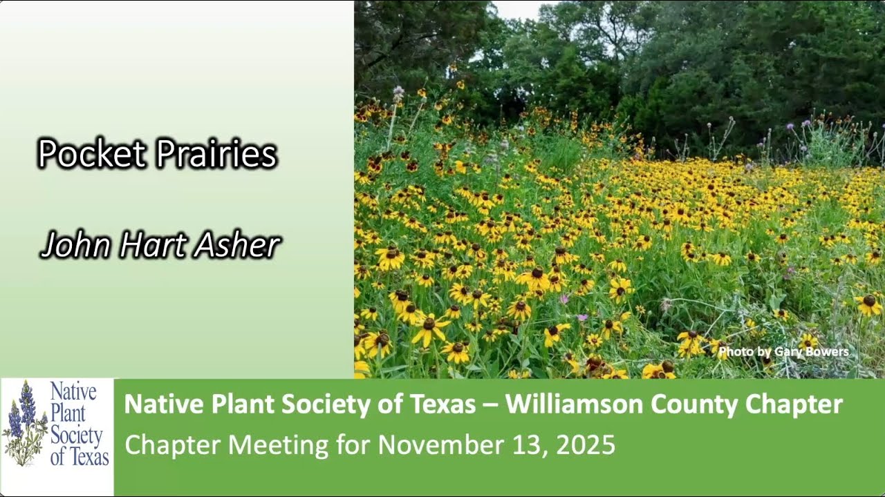 Nov 2025: Intro to Pocket Prairies w/John Hart Asher
