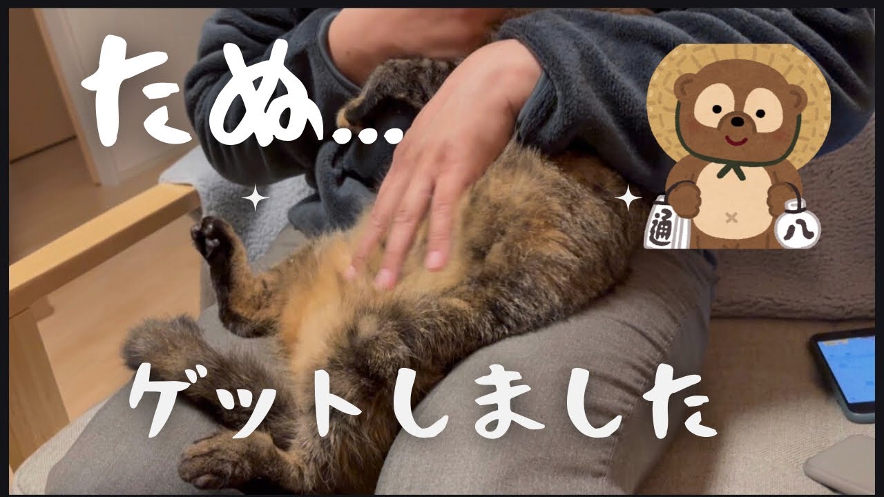 【嬉しい】とうしゃんが、たぬ...ゲットしました！