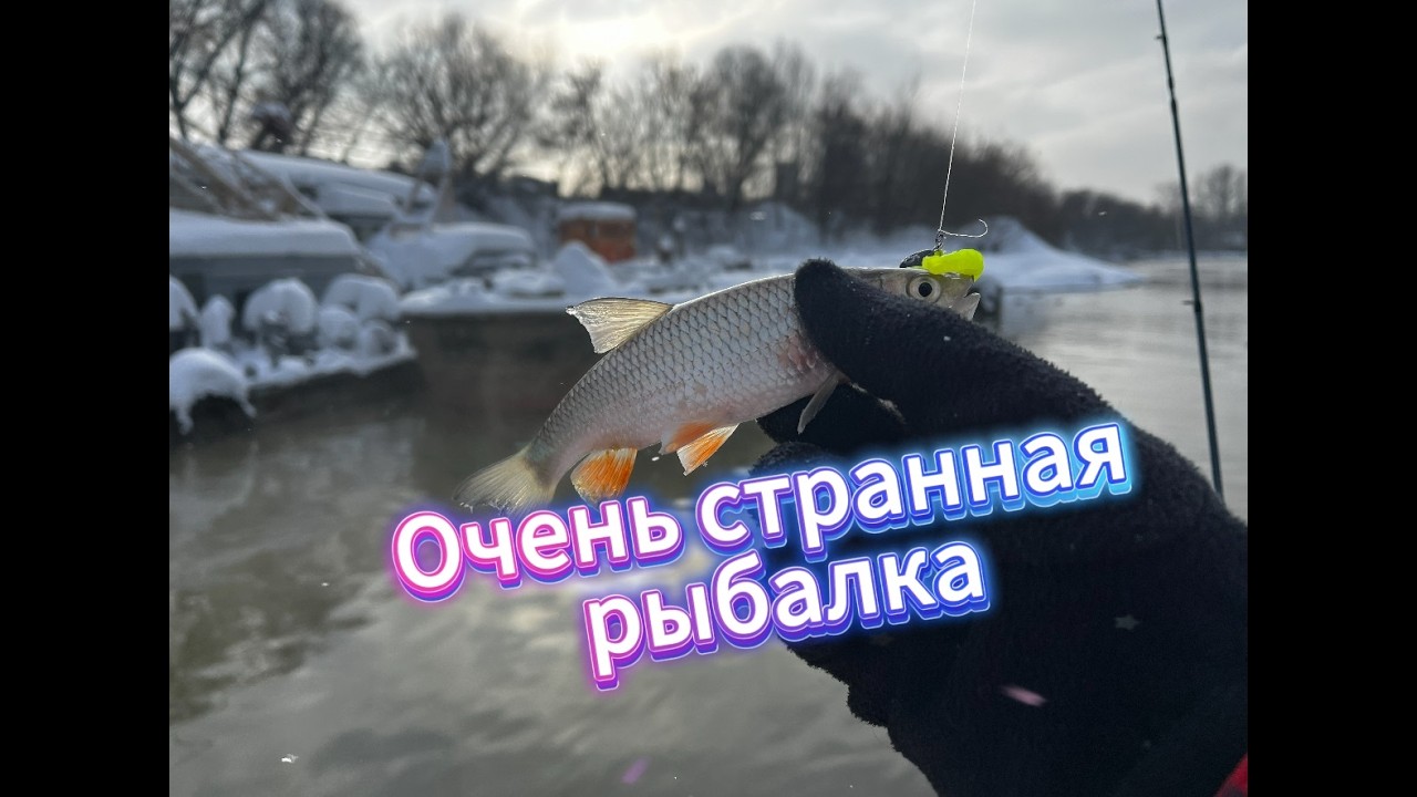 Секретное место без ветра! Зимний микроджиг на Москва-реке