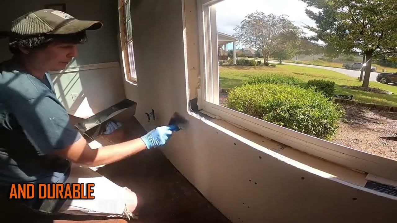 How to Repair Termite Damage &ndash; Step-by-Step Guide