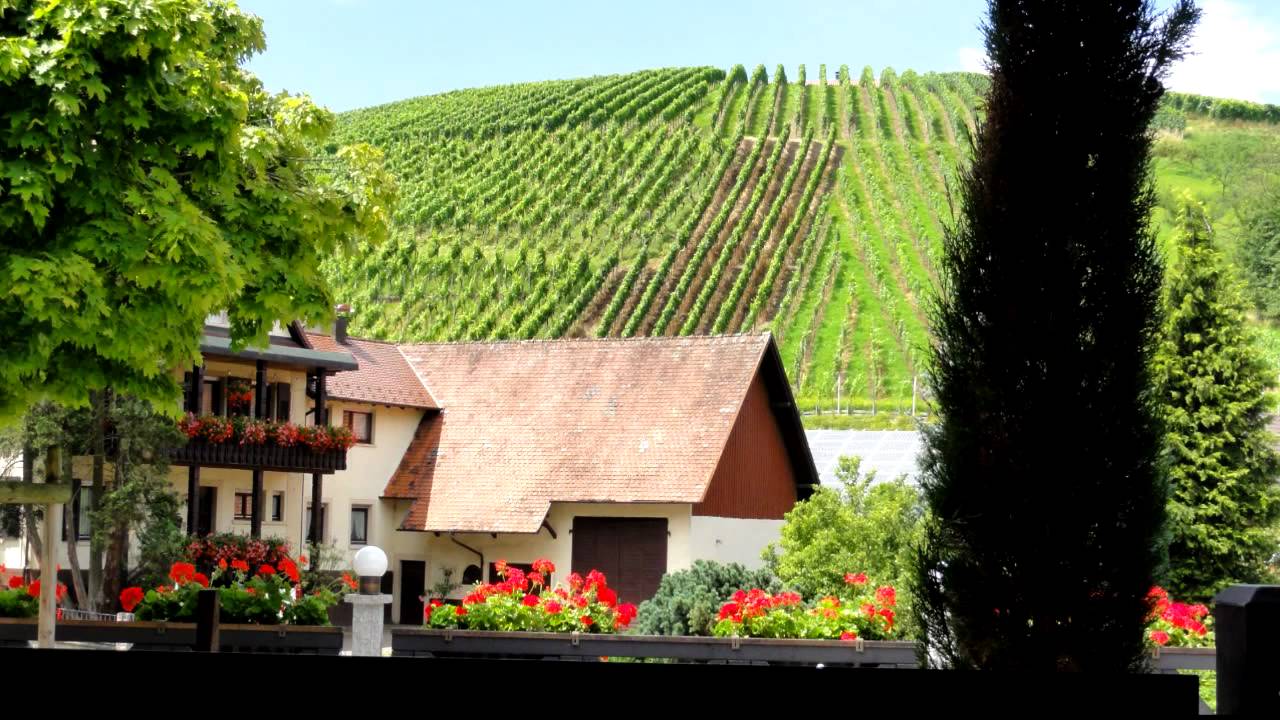 In Waldulm im Gasthof Rebstock