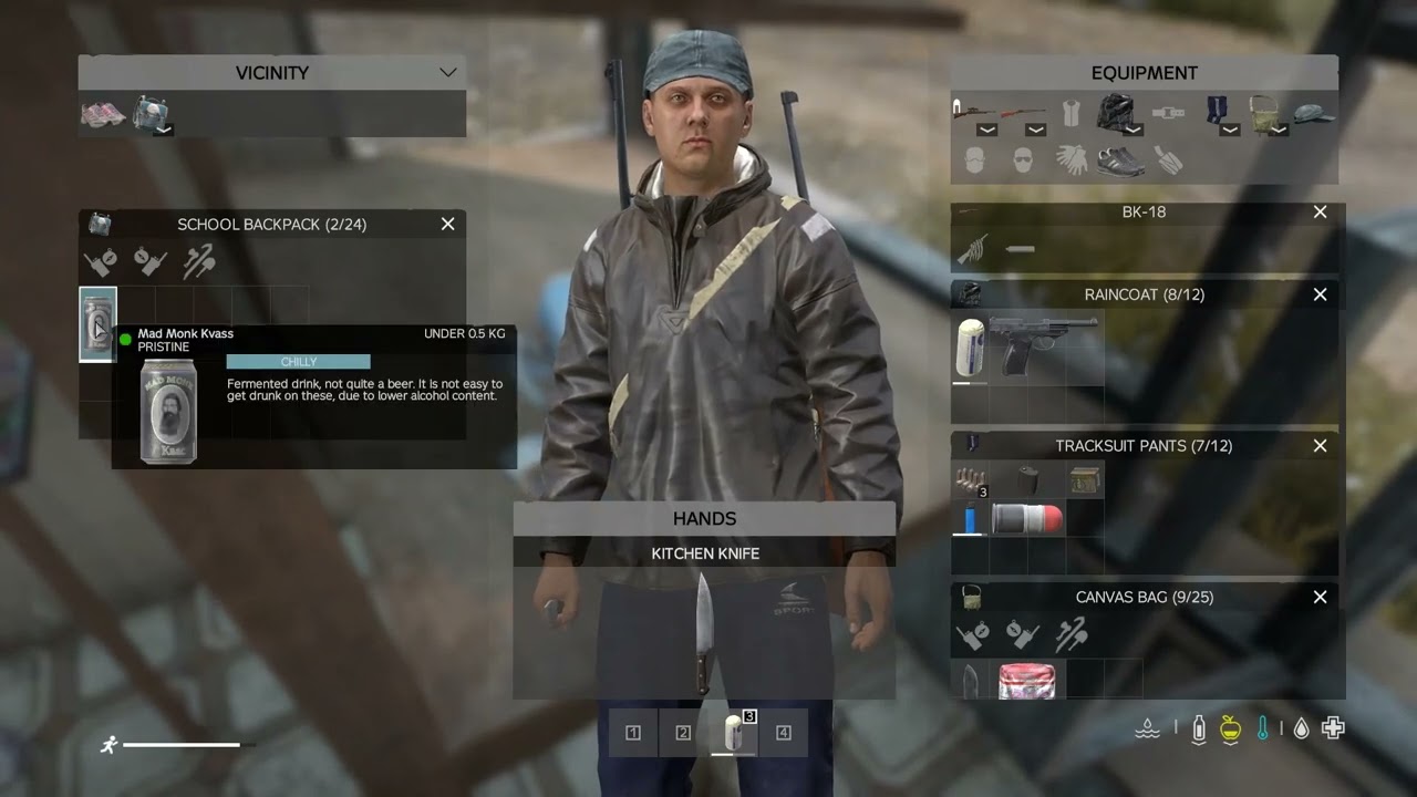 DayZ laid back play.