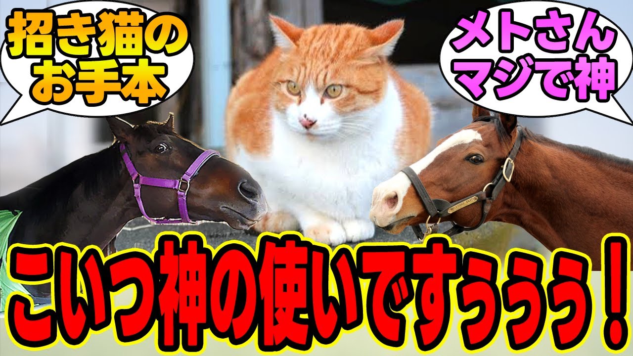 『神様の使いだったの君？』に対する競馬民の反応集