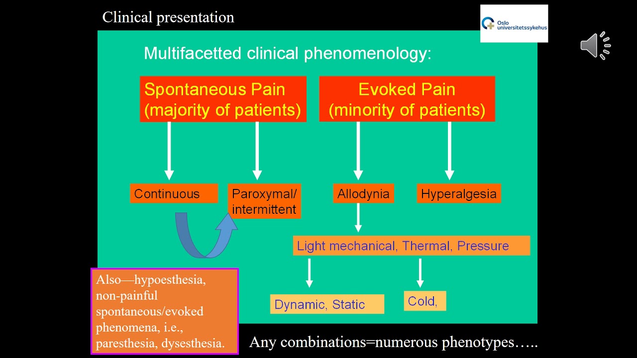 -          Part 3. Definite neuropathic pain