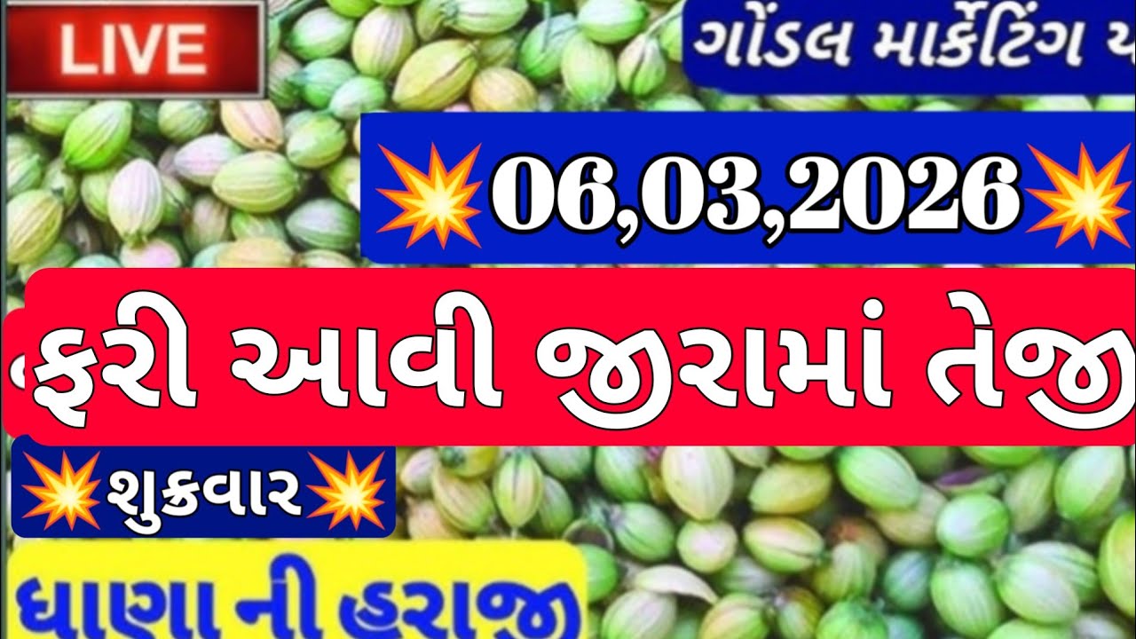 ગોંડલ નવા ધાણા ના બજાર ભાવ / નવા ધાણા ના બજાર ભાવ / આજના ધાણાના બજાર ભાવ / 06,03,2026