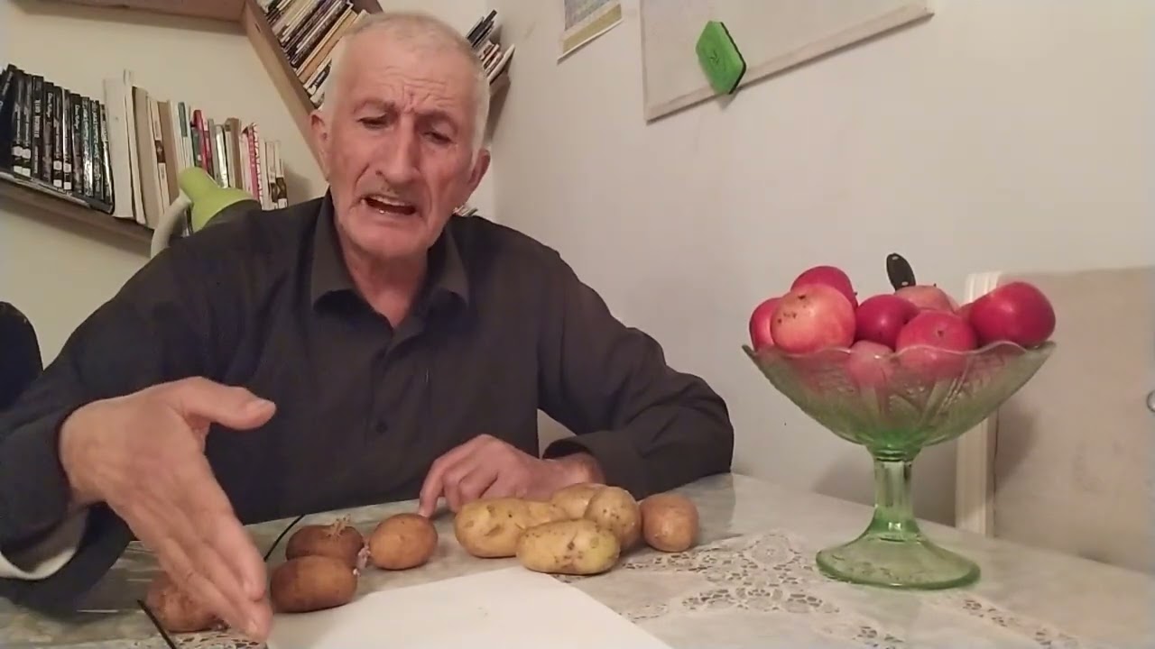 KARTOF HAQQINDA MƏLUMATLAR
