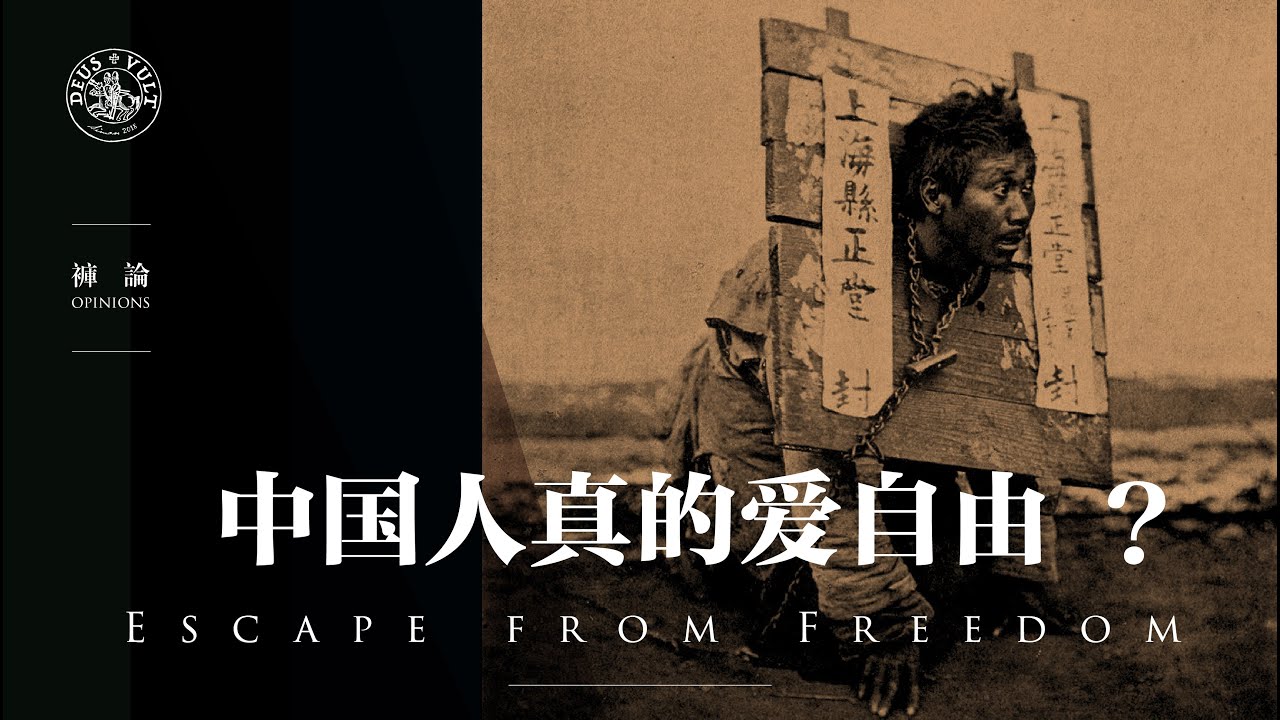 裤论 | 中国人真的爱自由？顺道说说为轮子功站台的团伙与王菊