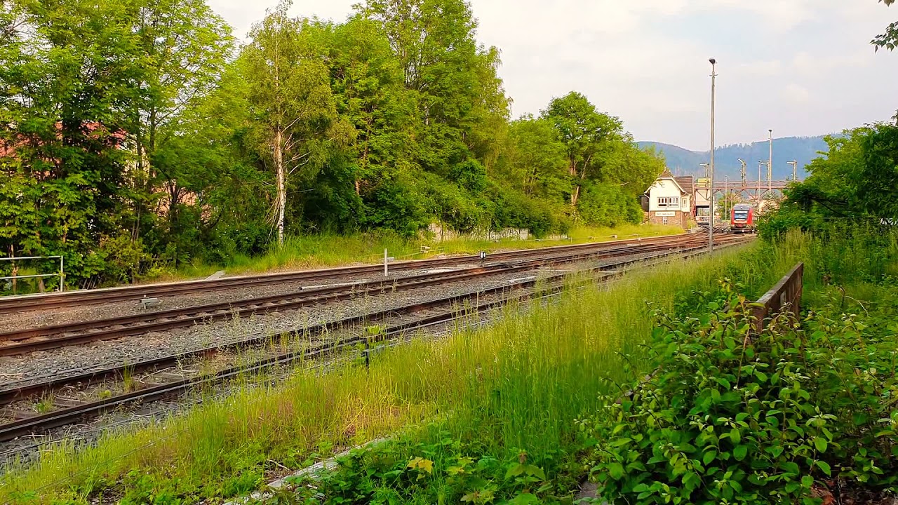 DB Regio Alstom Coradia Lint 41/BR 648 cu/with/mit RB82 Bad Harzburg - G&ouml;ttingen in Bad Harzburg