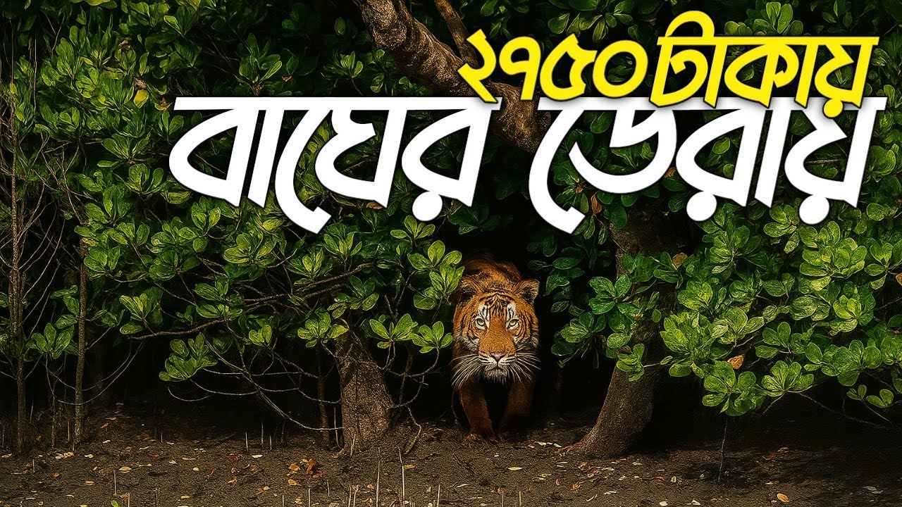 নতুন সিজনে সুন্দরবন ভ্রমনের সবকিছু 🇧🇩  ইরাবতী ইকো রিসোর্ট | করমজল | Dhaka to Sundarban 🌿
