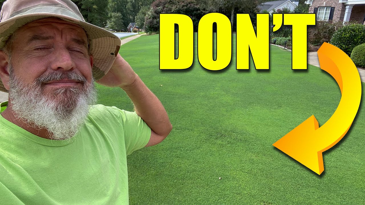 Осенний газонный довсходовый препарат: как и когда применять