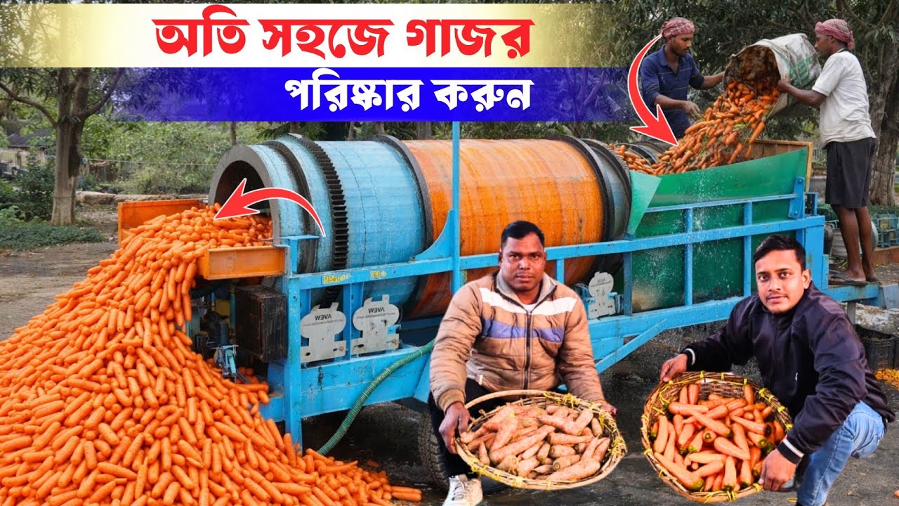 Carrot Cleaning Machine | ঘণ্টার ৮০০ কিলো গাজর ধোবে এই মেশিন। কিন্তূ কিভাবে সম্ভব? @agriculturediary